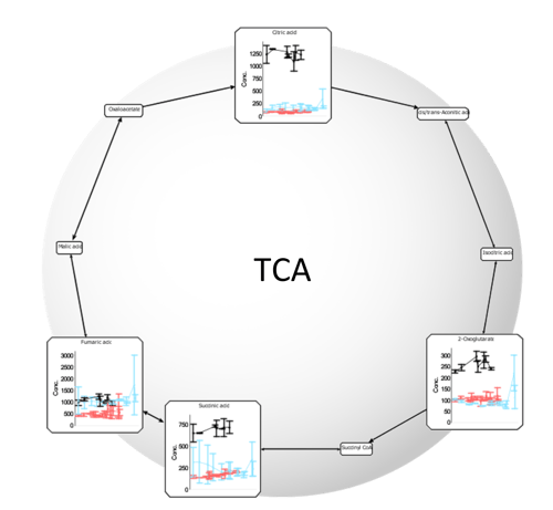 TCA Website Graphic v2